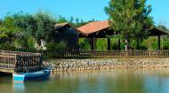 images/galeria/Quinta_dOliveiras/APL_2080_site.jpg