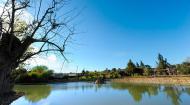 images/galeria/Quinta_dOliveiras/APL_2134_site.jpg