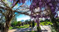 images/galeria/Quinta_dOliveiras/APL_2172_site.jpg