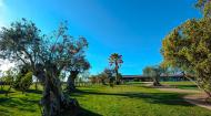 images/galeria/Quinta_dOliveiras/APL_2182_site.jpg