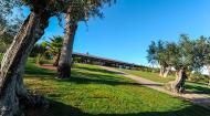 images/galeria/Quinta_dOliveiras/APL_2189_site.jpg