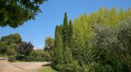 images/galeria/Quinta_de_santa_Teresinha/casamentos/QST-jardim-g.jpg